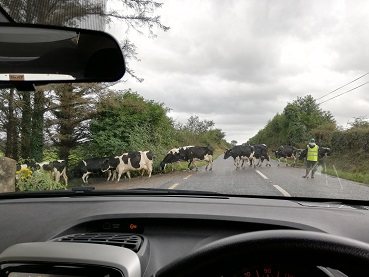 しょっぱいって重要