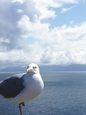 最後、アイルランド大好きです