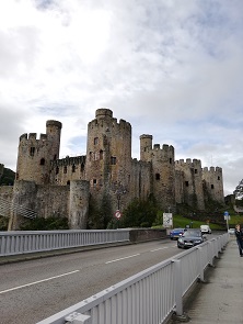 〇ラゴンクエスト