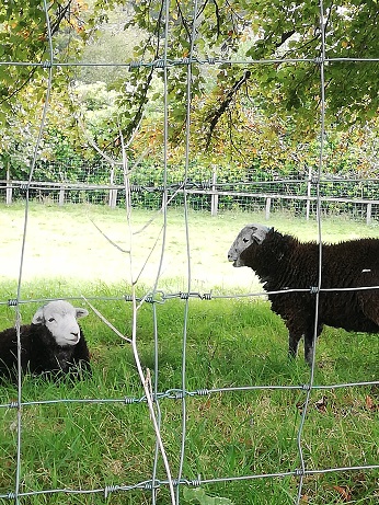 ちょっとビビります