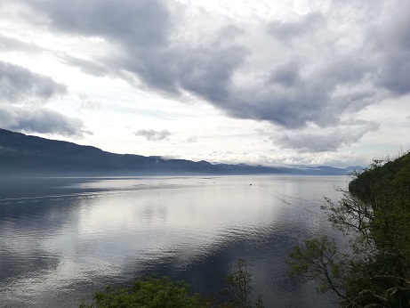 たとえウナギでも