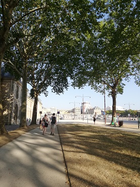 この日の最高気温42度