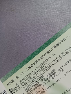 もうひとふんばりです