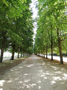 大の方（汚い話ではありません）