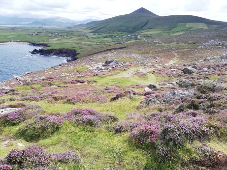 アイルランドへ