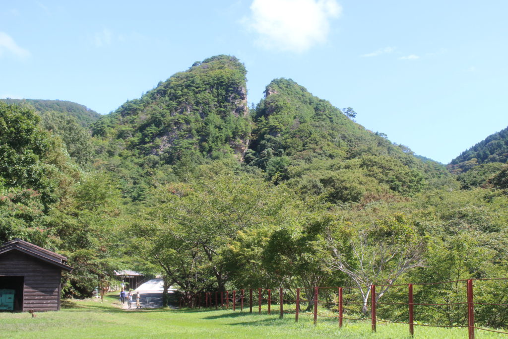 裏側からも見たくなる